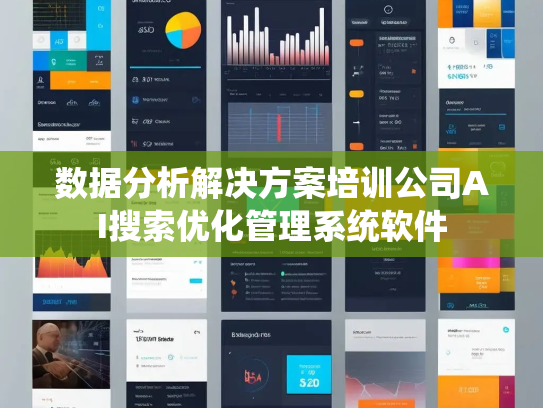 数据分析解决方案培训公司AI搜索优化管理系统软件