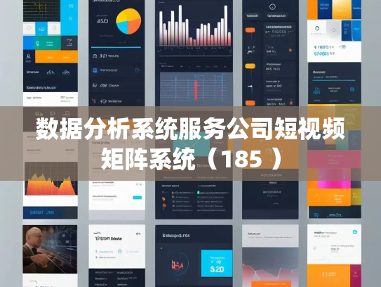 数据分析系统服务公司短视频矩阵系统(185 )