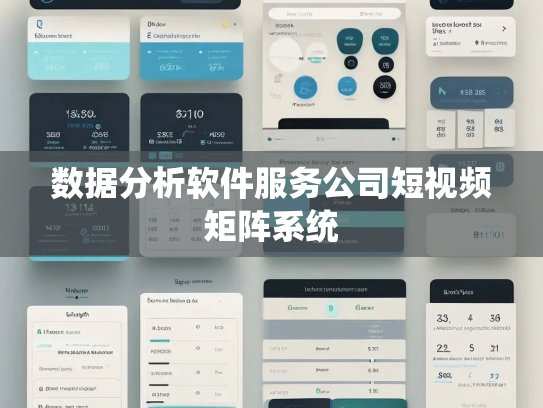 数据分析软件服务公司短视频矩阵系统