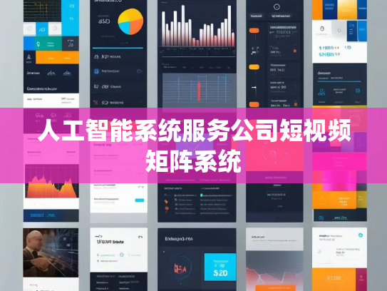 人工智能系统服务公司短视频矩阵系统
