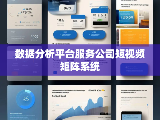 数据分析平台服务公司短视频矩阵系统