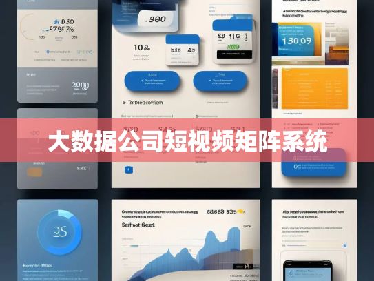 大数据公司短视频矩阵系统