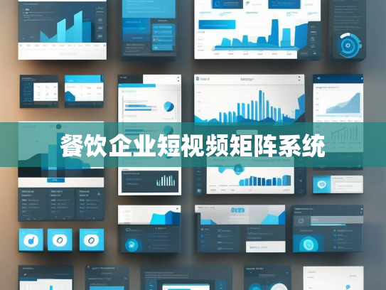 餐饮企业短视频矩阵系统