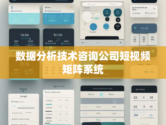 数据分析技术咨询公司短视频矩阵系统