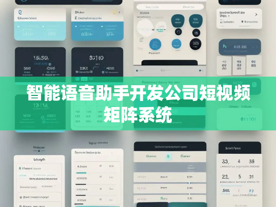 智能语音助手开发公司短视频矩阵系统
