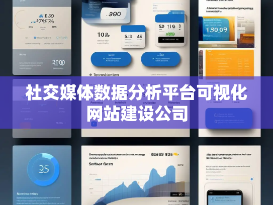 社交媒体数据分析平台可视化网站建设公司 社交媒体数据分析平台可视化网站建设公司
