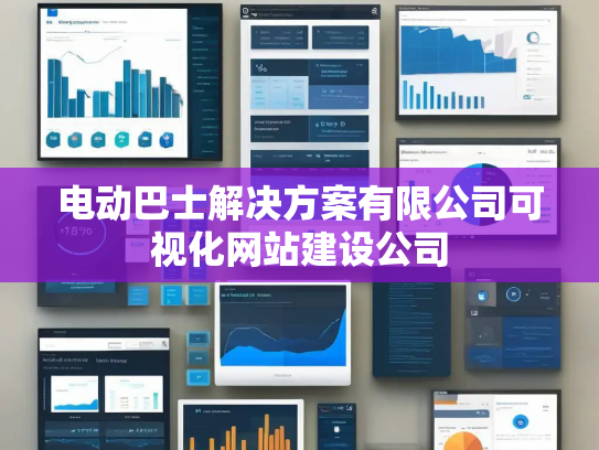 电动巴士解决方案有限公司可视化网站建设公司