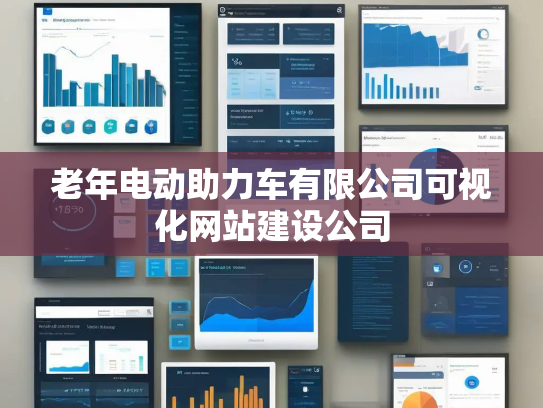 老年电动助力车有限公司可视化网站建设公司