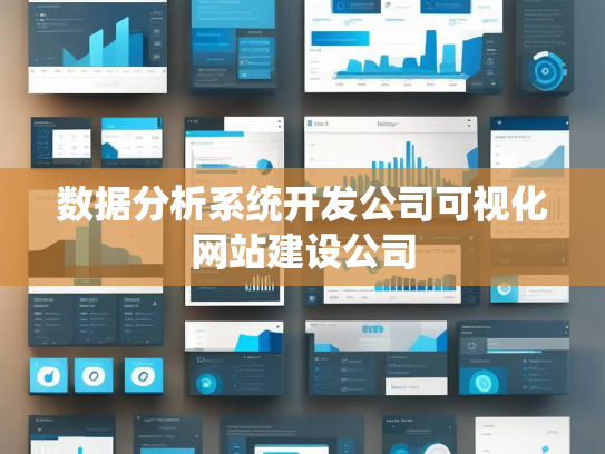 数据分析系统开发公司可视化网站建设公司