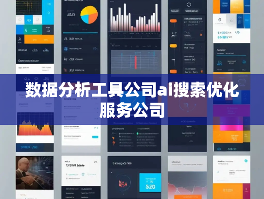 数据分析工具公司ai搜索优化服务公司