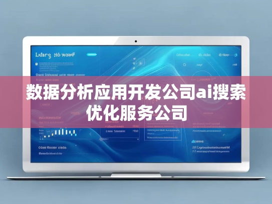 数据分析应用开发公司ai搜索优化服务公司