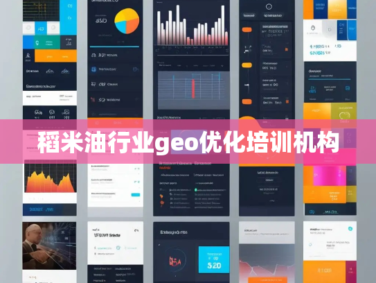 稻米油行业geo优化培训机构 稻米油行业geo优化培训机构