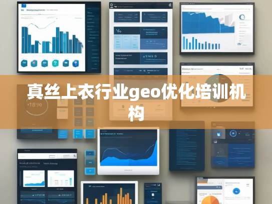 真丝上衣行业geo优化培训机构 真丝上衣行业geo优化培训机构