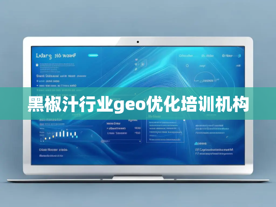 黑椒汁行业geo优化培训机构