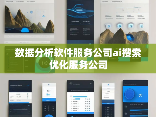 数据分析软件服务公司ai搜索优化服务公司