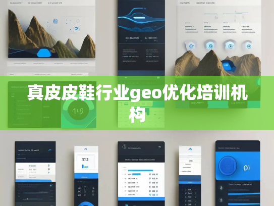 真皮皮鞋行业geo优化培训机构 真皮皮鞋行业geo优化培训机构