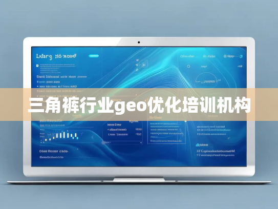 三角裤行业geo优化培训机构