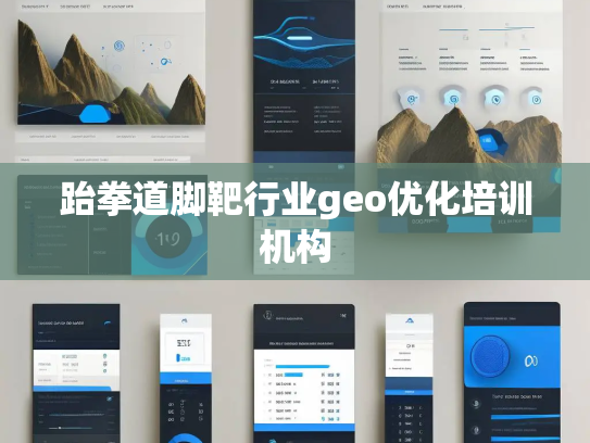 跆拳道脚靶行业geo优化培训机构 跆拳道脚靶行业geo优化培训机构