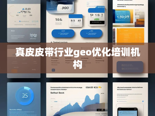 真皮皮带行业geo优化培训机构