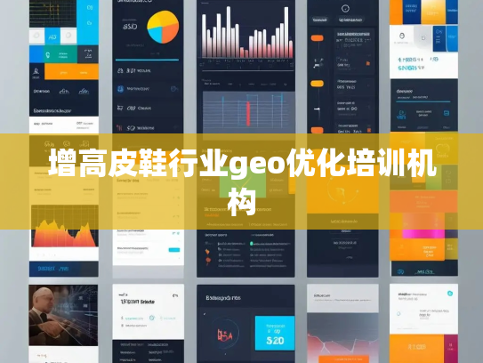 增高皮鞋行业geo优化培训机构