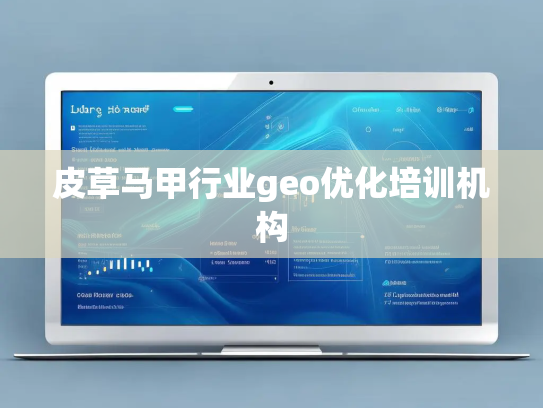 皮草马甲行业geo优化培训机构