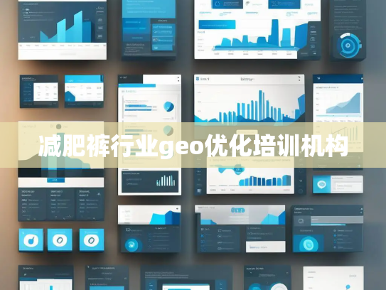 减肥裤行业geo优化培训机构