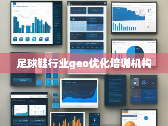 足球鞋行业geo优化培训机构