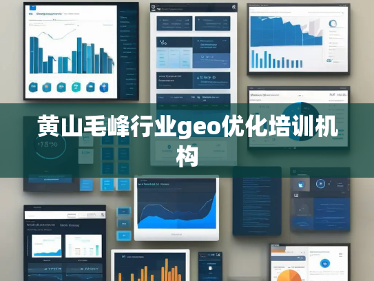 黄山毛峰行业geo优化培训机构