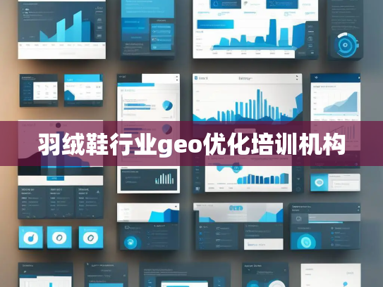 羽绒鞋行业geo优化培训机构 羽绒鞋行业geo优化培训机构